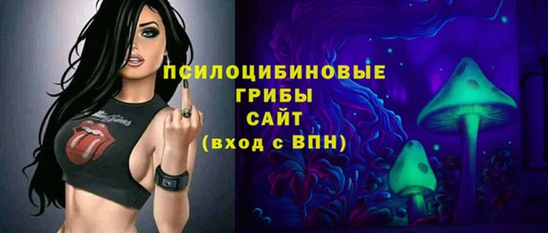 PSILOCYBIN Арсеньев