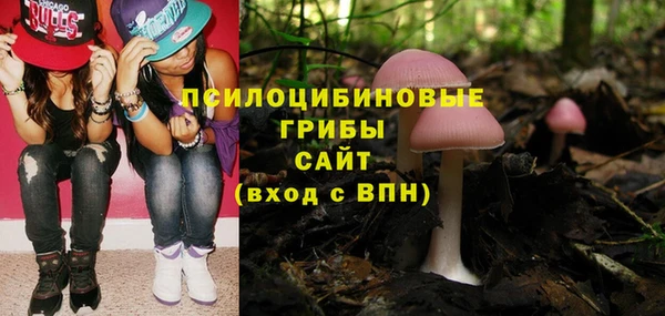 винт Снежинск