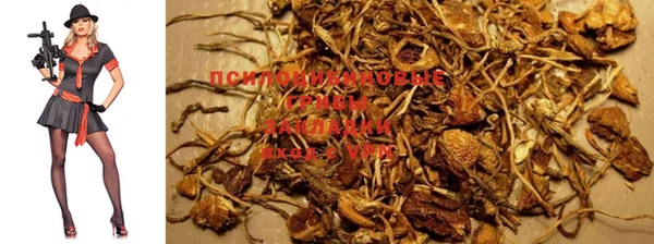 MESCALINE Снежногорск