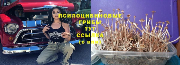 амфетамин Аркадак
