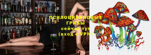 PSILOCYBIN Арсеньев